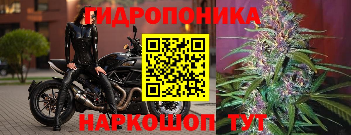 Бошки марихуана SATIVA & INDICA  Вход с VPN  МАРИХУАНА гибрид  Чебаркуль  МАРИХУАНА ГИДРОПОН 